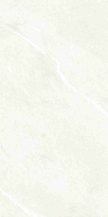 Dhara White Matte 24 x 48